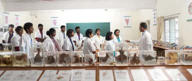 Faculty demonstrating specimens to MBBS students at the anatomy museum of Bhaarat Medical College & Hospital, Chennai