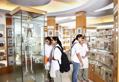 Students studying specimens in the anatomy museum of Dr. D. Y. Patil Medical College, Pimpri