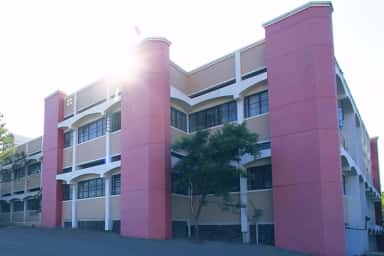 Pink-and-beige facade of the Dr. Vasantrao Pawar Medical College academic block in evening light