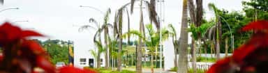 Palm-lined approach and gardens at the entrance of the FAME campus, Mysuru