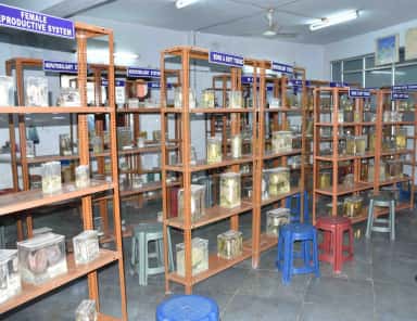 Specimen racks in the anatomy and pathology museum at KBN medical college, Gulbarga