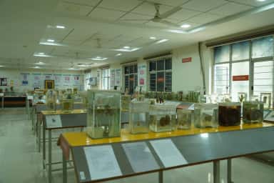 Specimen display hall of the anatomy museum at Malla Reddy Institute of Medical Sciences, Hyderabad