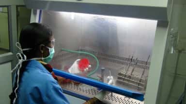 Technician working at a laminar-flow hood in the microbiology laboratory of Meenakshi Medical College Hospital, Kanchipuram