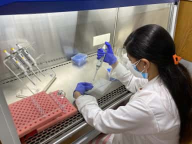 Researcher pipetting inside a biosafety cabinet in the molecular biology lab at MVJ Medical College, Bengaluru