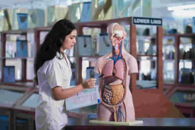 Medical student with a human anatomy torso model in the anatomy museum at Parul Institute of Medical Sciences & Research