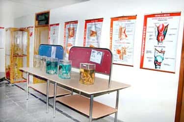 Anatomy museum specimens and wall charts at Shadan Institute of Medical Sciences, Hyderabad