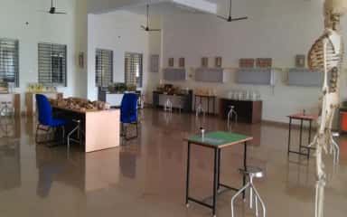 Anatomy museum with specimens, models and an articulated skeleton at Srinivas Institute of Medical Sciences