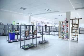 Anatomy museum specimen displays at The Oxford Medical College, Bangalore