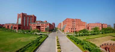 Sharda photo