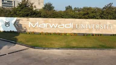 Marwadi photo