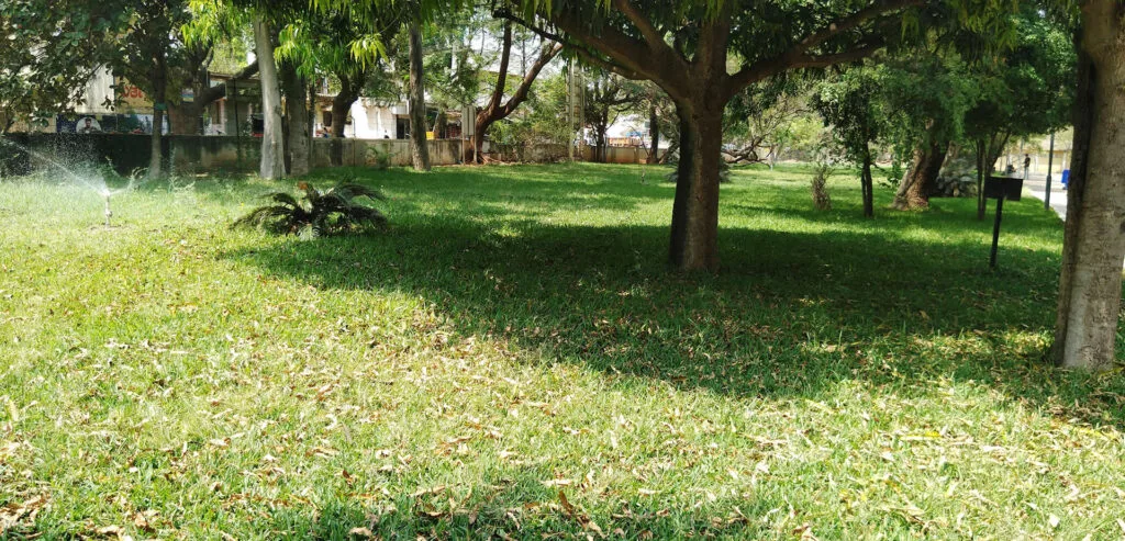 campus 3