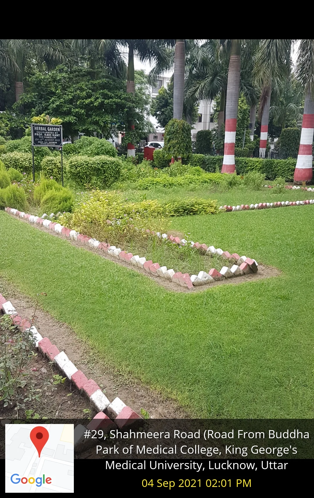Herbal garden — King George's Medical University, Uttar Pradesh