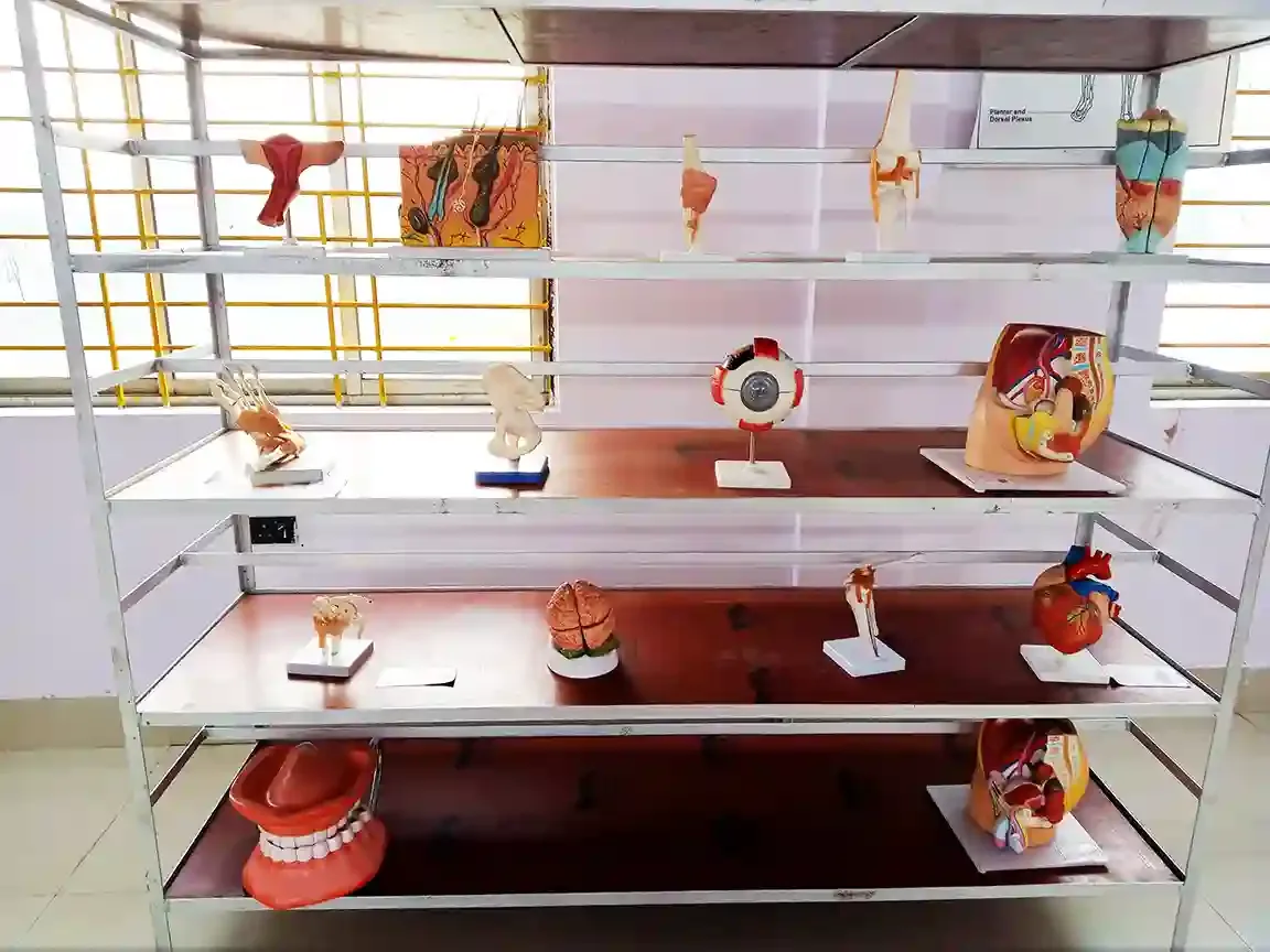 campus 8