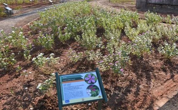 campus 7