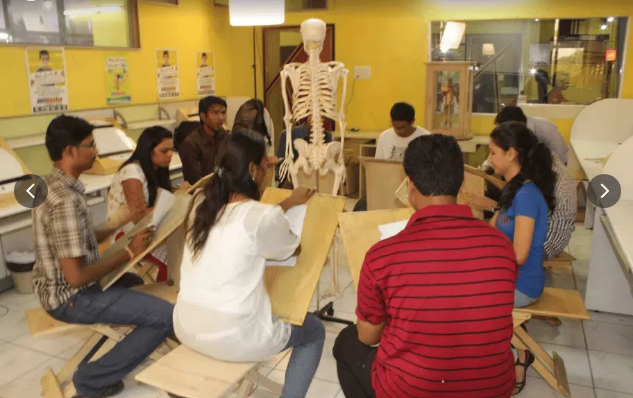 Animation class - Human Anatomy - Animaster Design College, Bangalore — Animaster College of Animation and Design