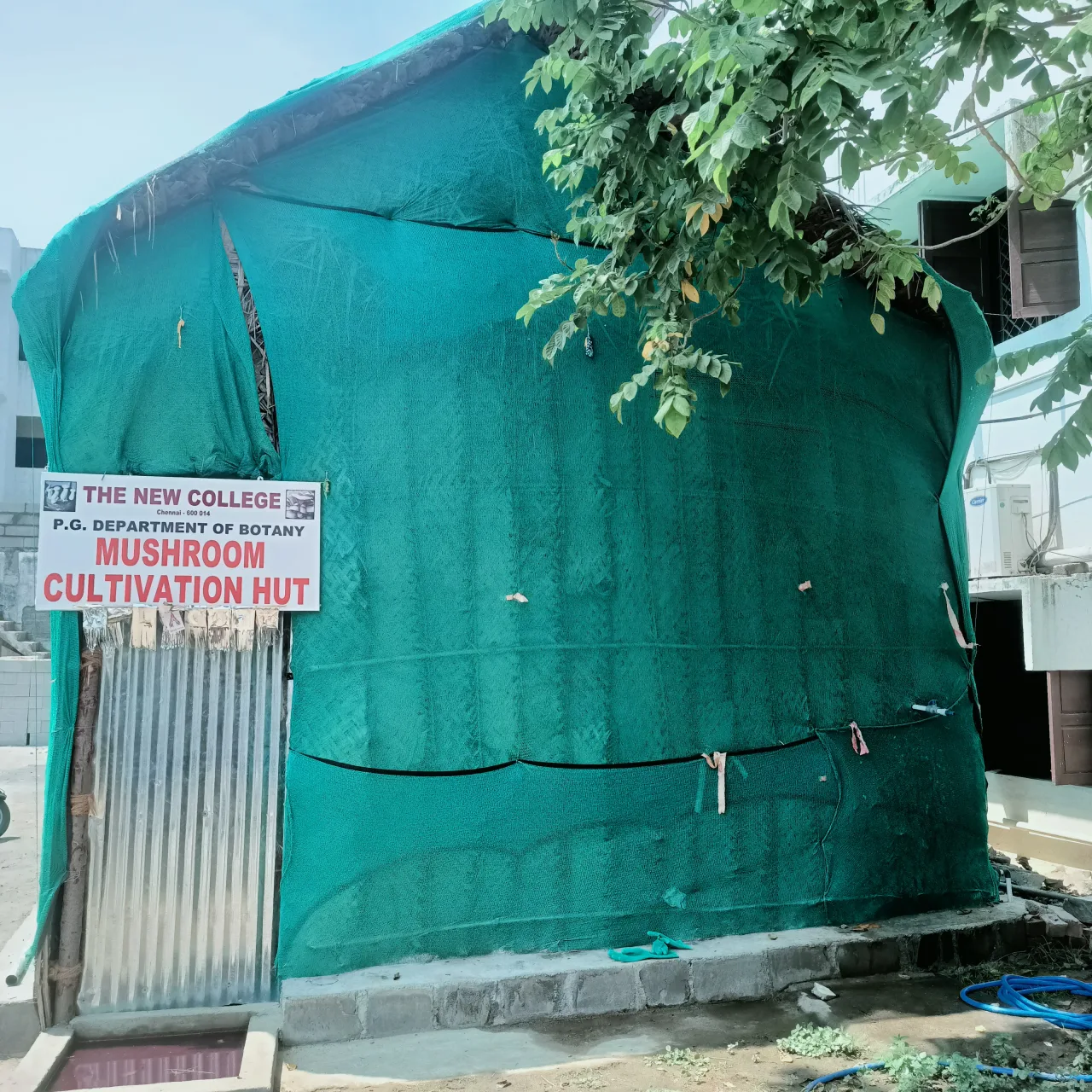 campus 6