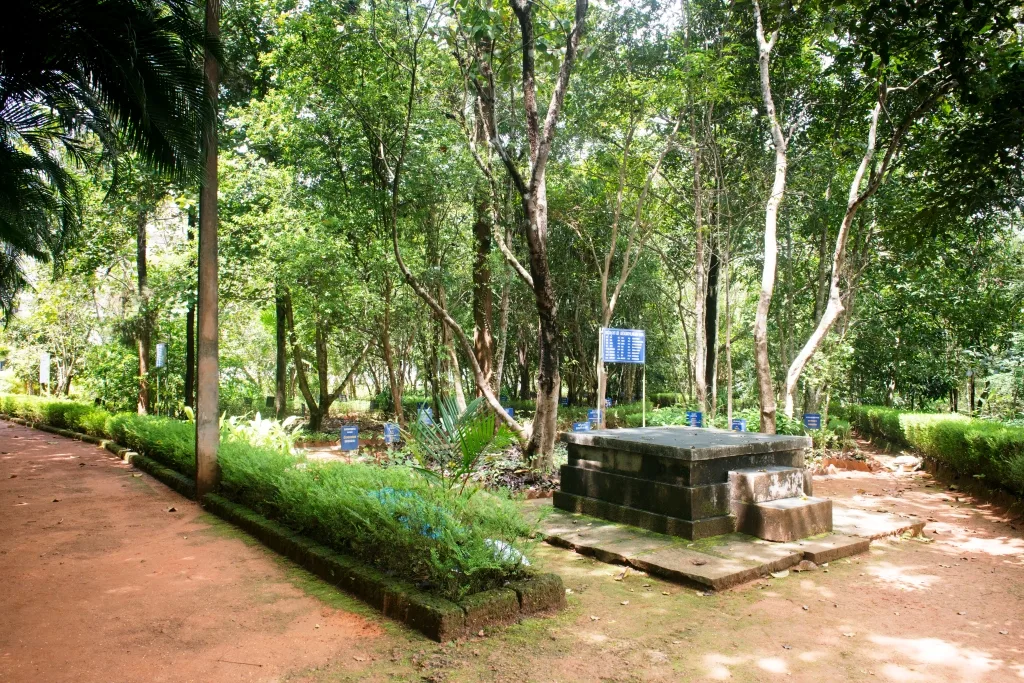 campus 5