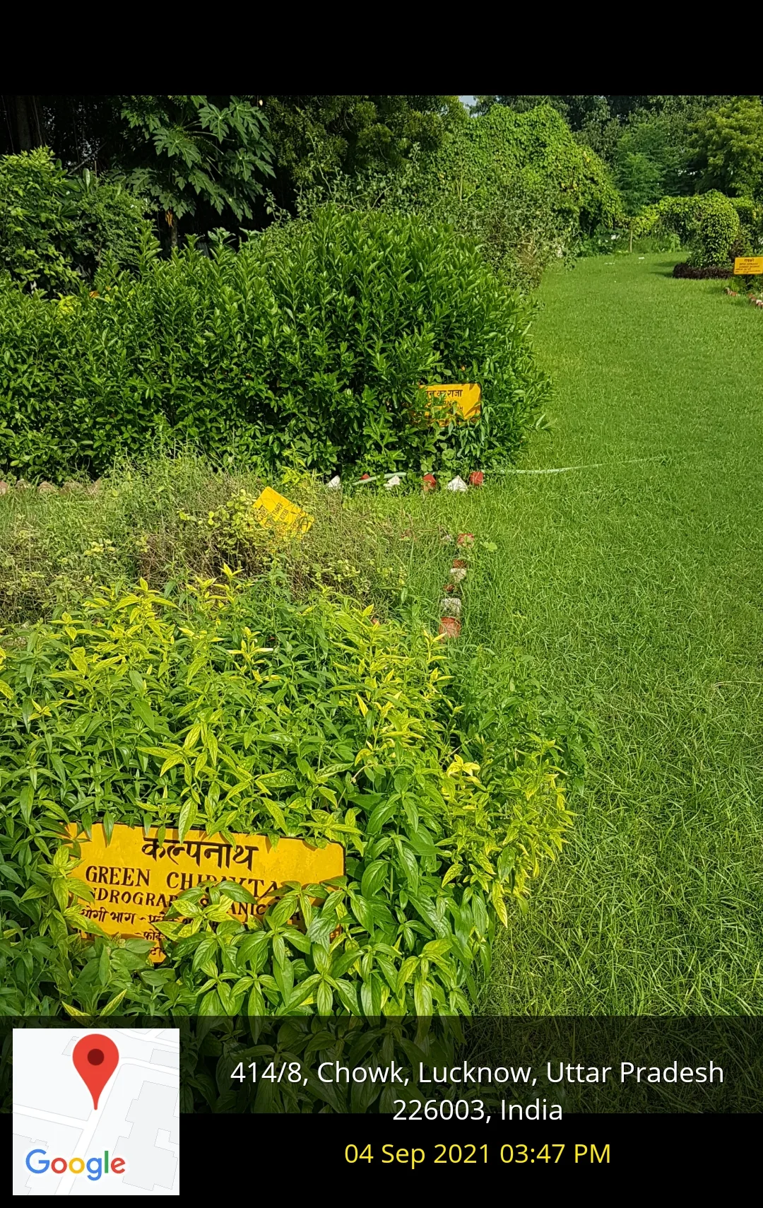 Lawn in front of Vice Chancellor's Office — King George's Medical University, Uttar Pradesh