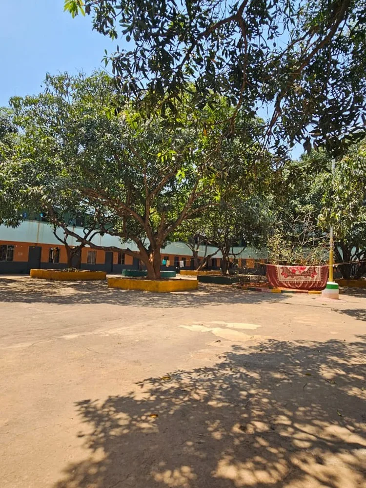 campus 8