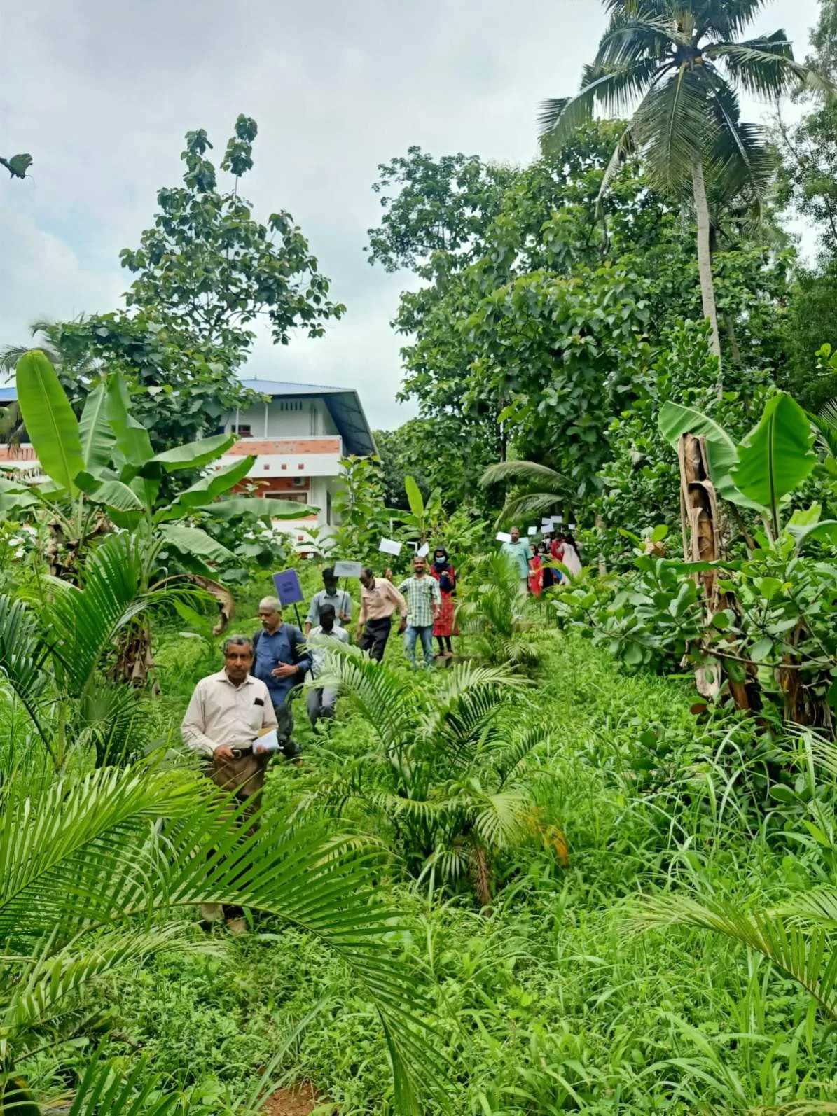 campus 6