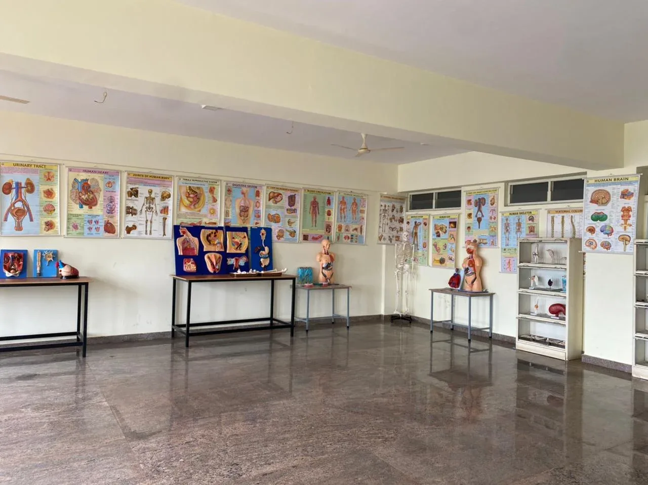 Anatomy Lab — Dr. John’s School and College of Nursing