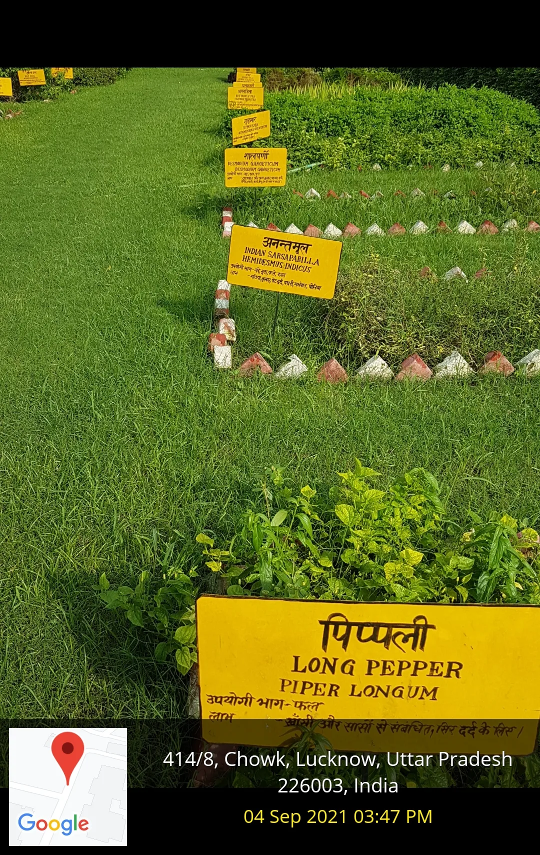 Lawn in front of VC Office — Faculty of Dental Sciences, King George's Medical University