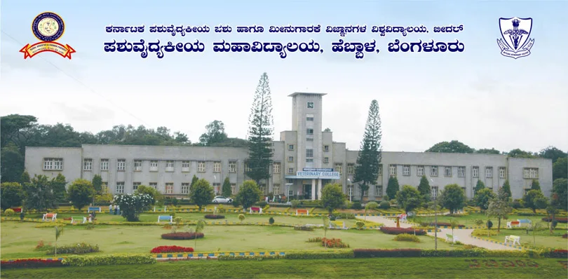 campus 3