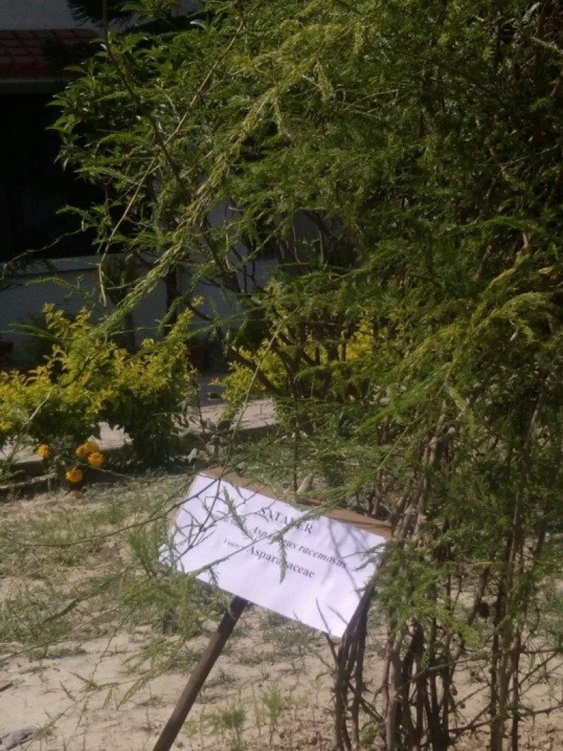 campus 8