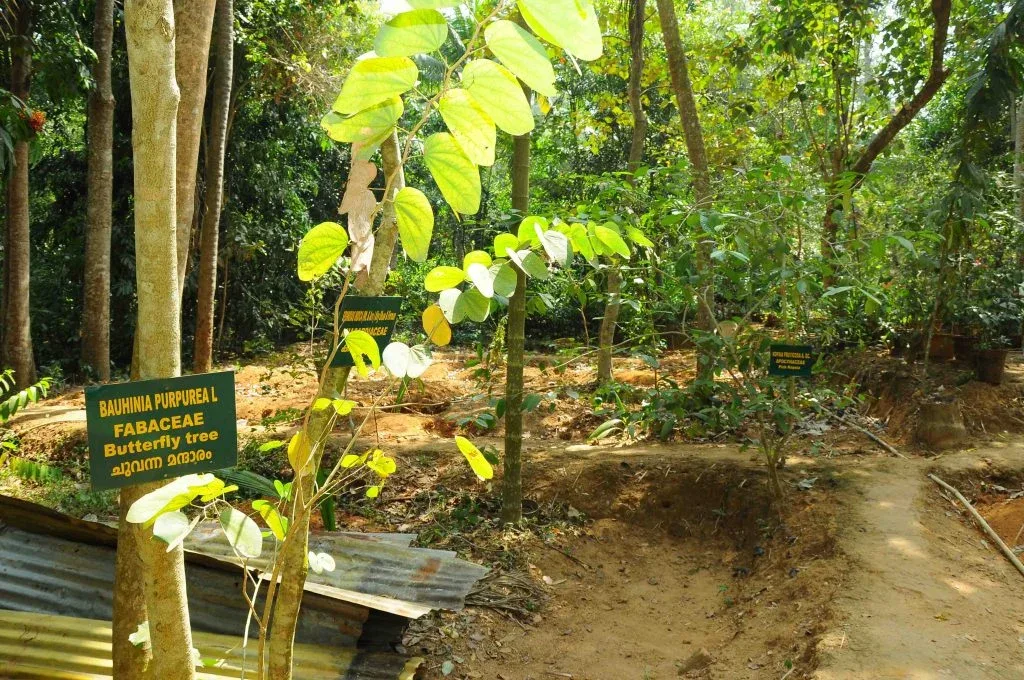 campus 5