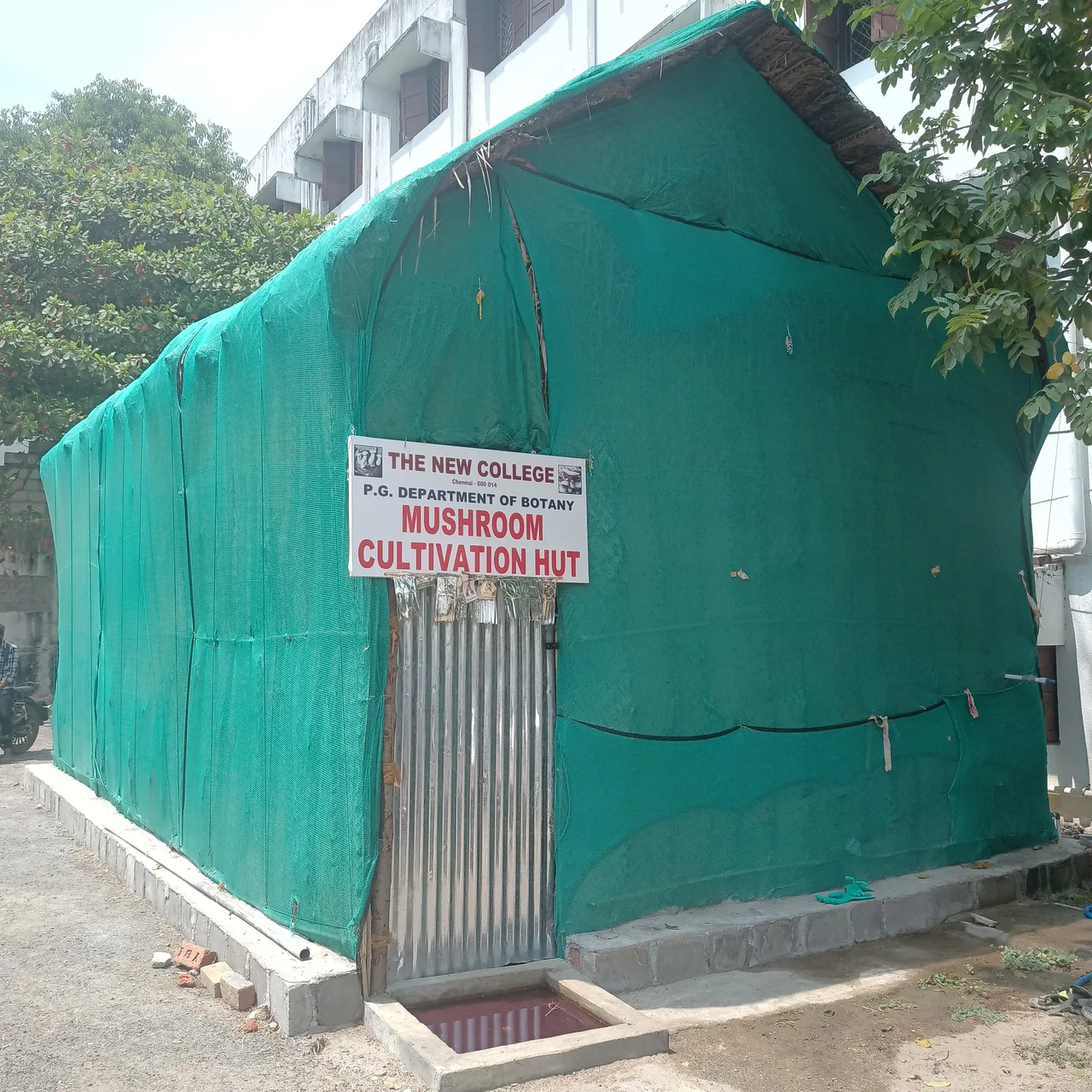 campus 8