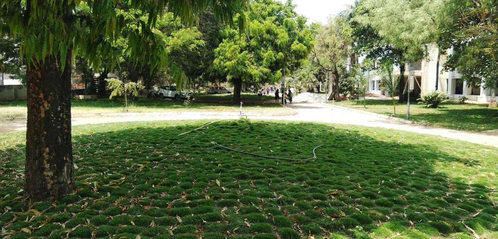 campus 2