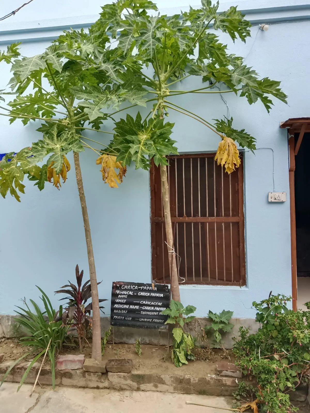 campus 2