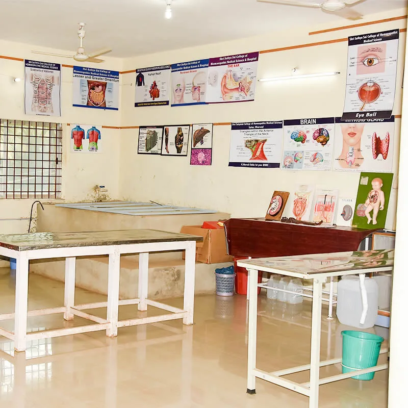 campus 5