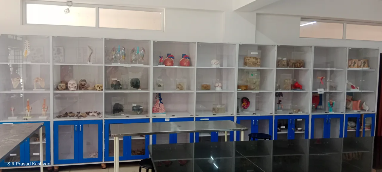 campus 5