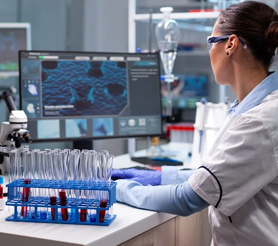 Bachelor of Pharmacy (B.Pharmacy) — Hillside College of Pharmacy and Research Centre