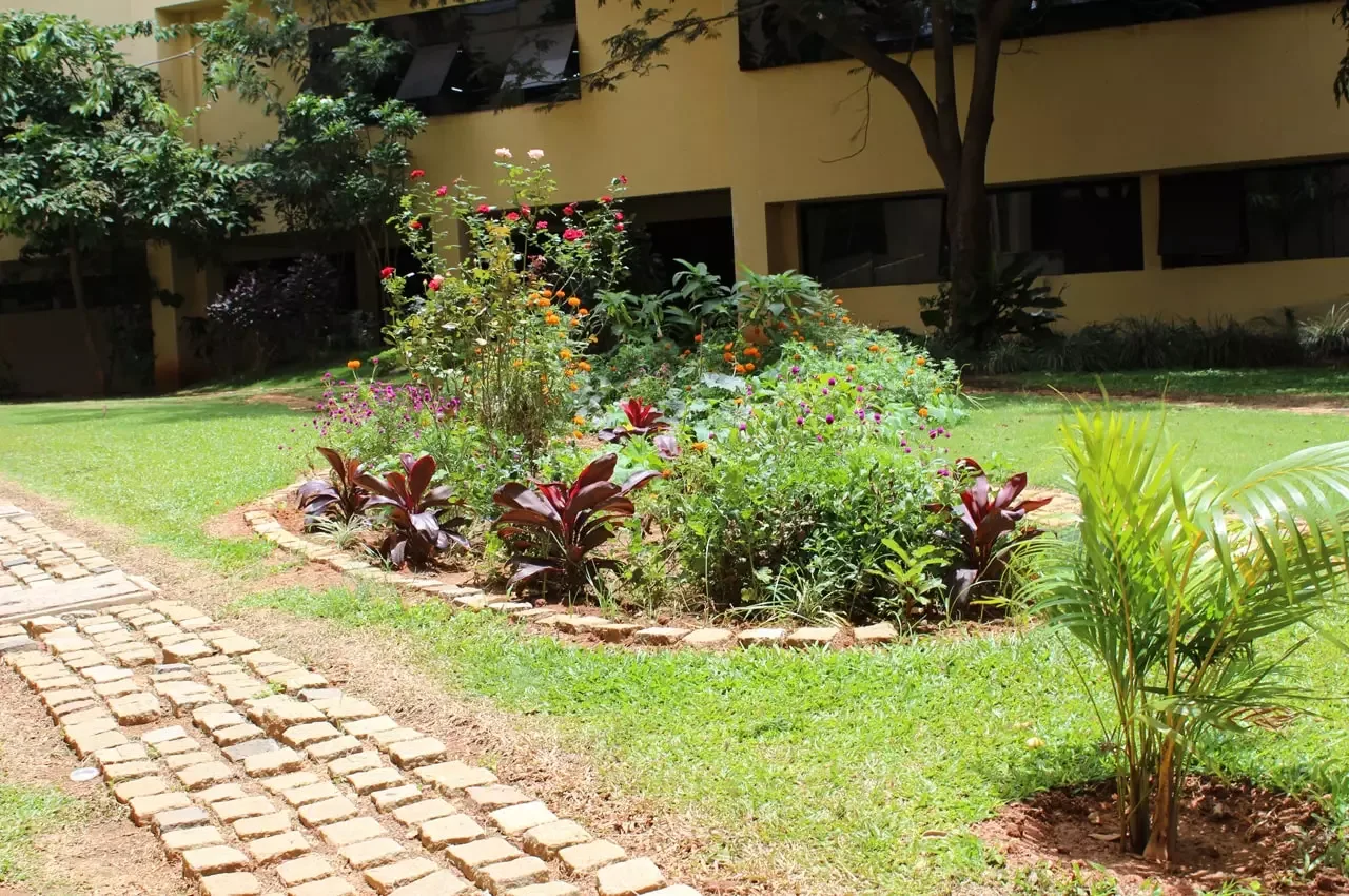 campus 4