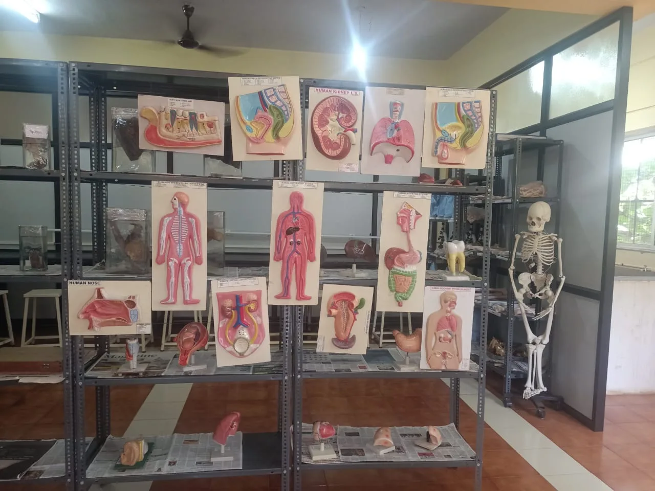 campus 5