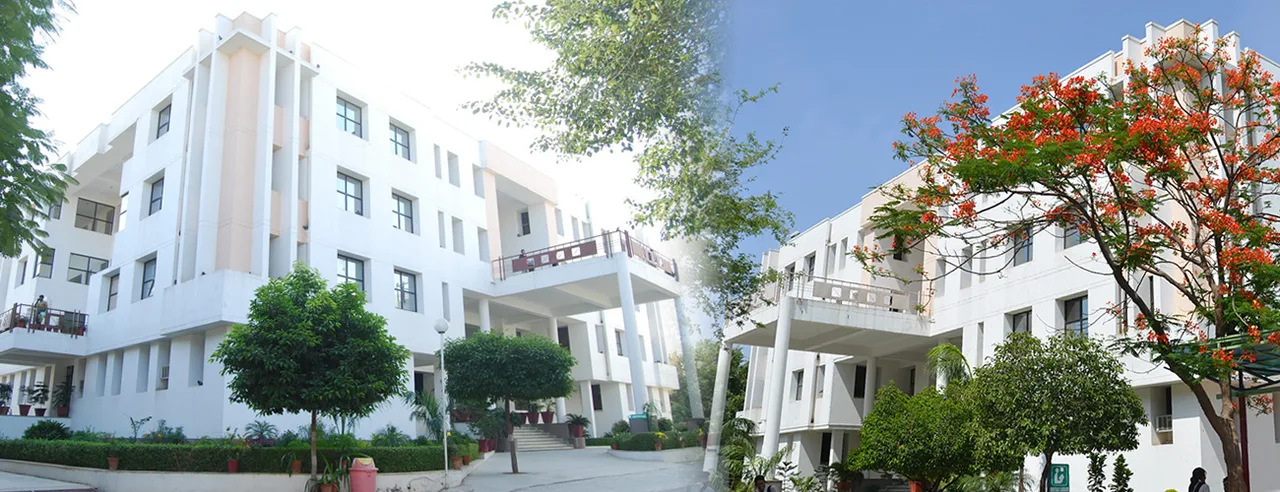 campus 2