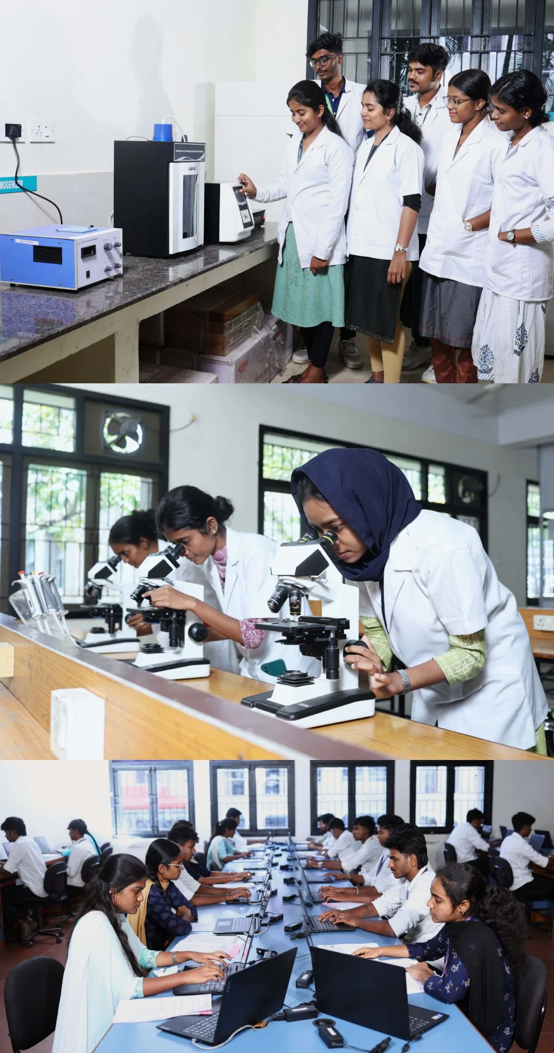 campus 8