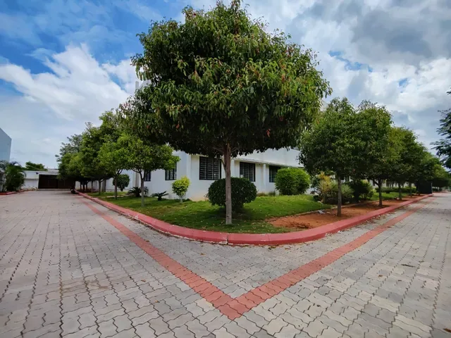 BSD Pavement And Trees — bsd-college-of-allied-health-sciences-coimbatore