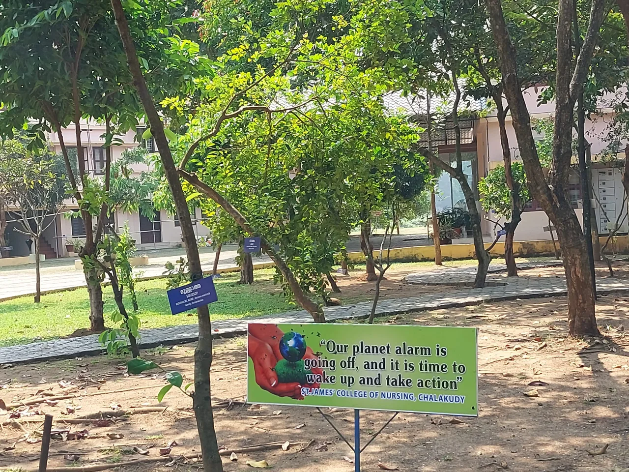 campus 8