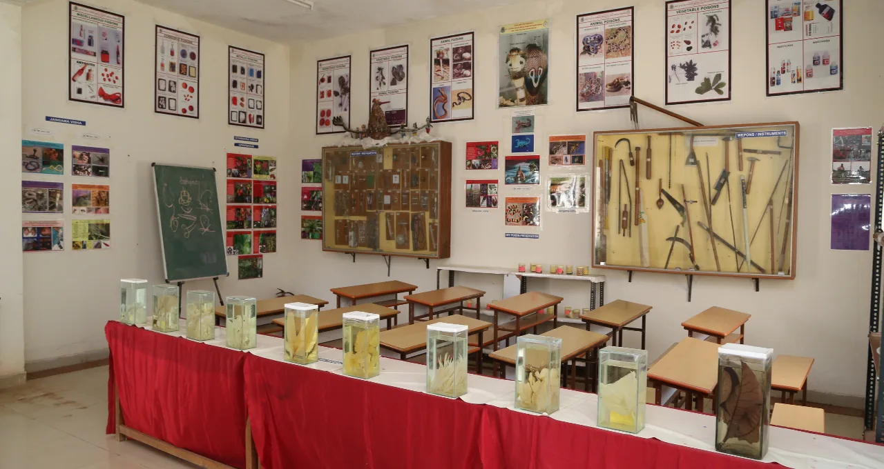 campus 7