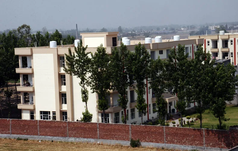 campus 8