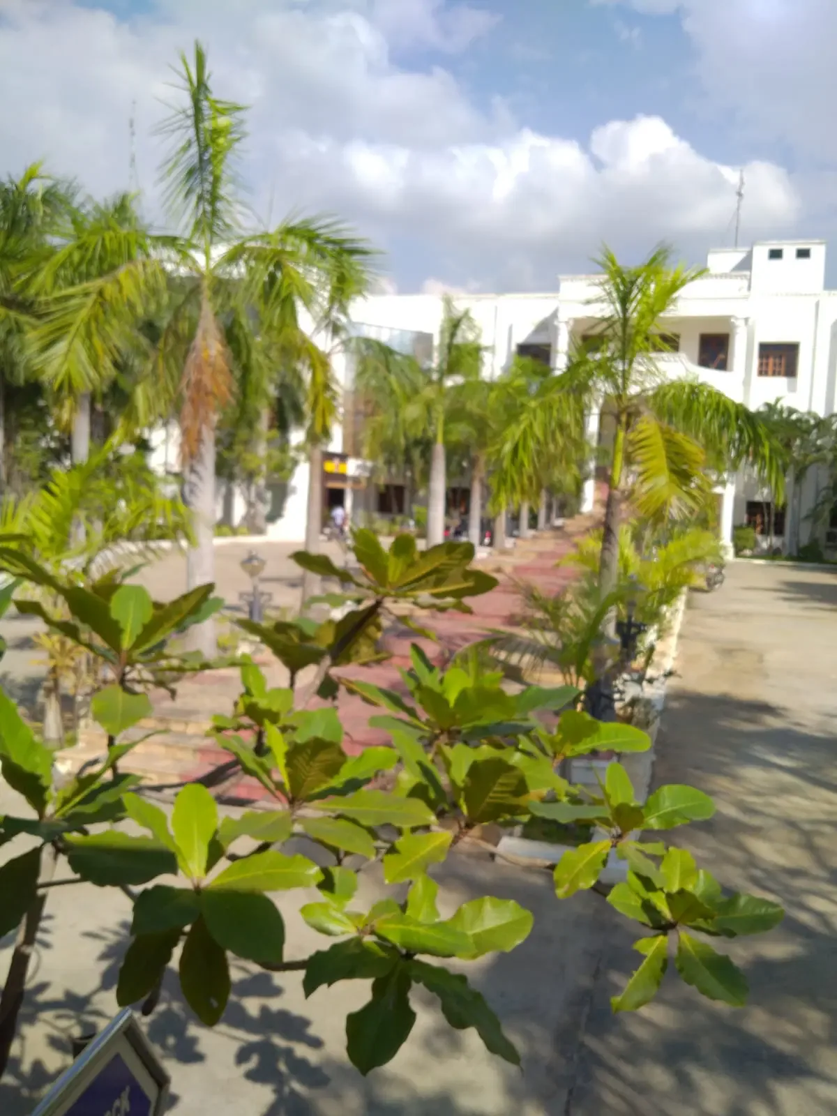 campus 6
