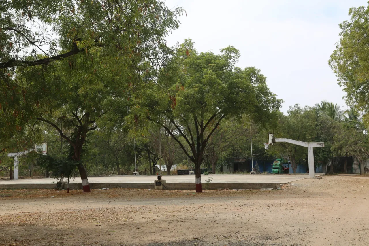 campus 8