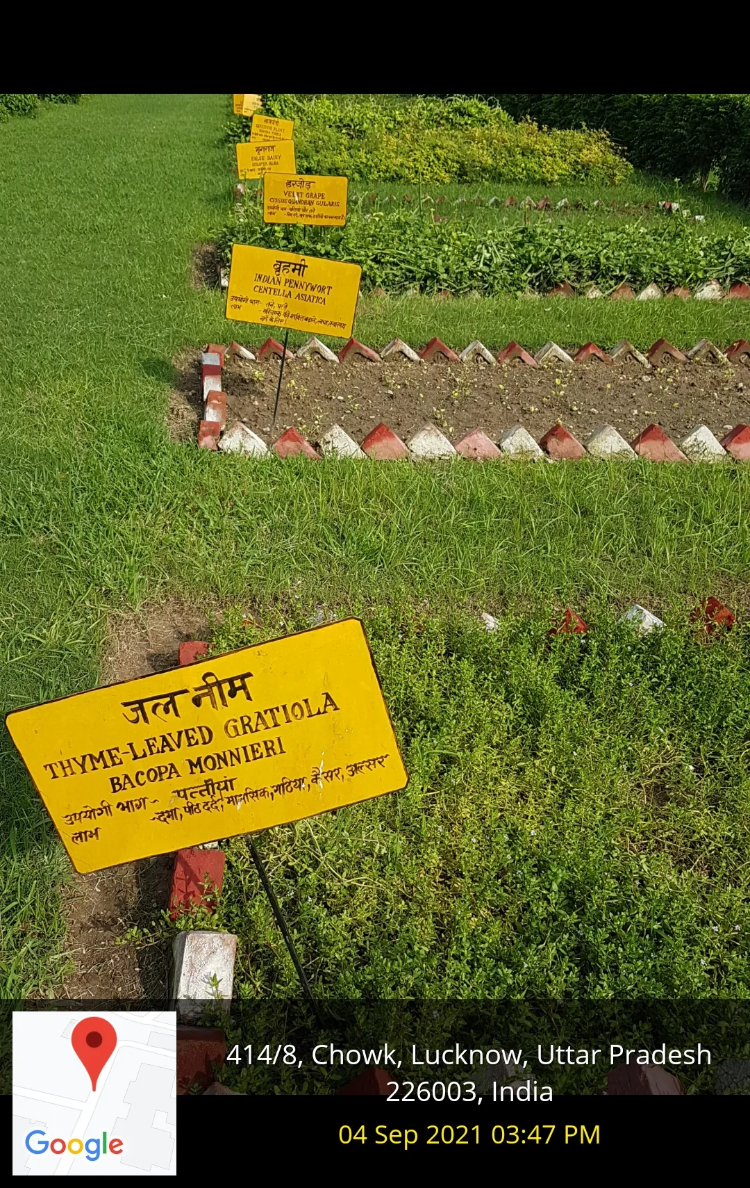campus 6