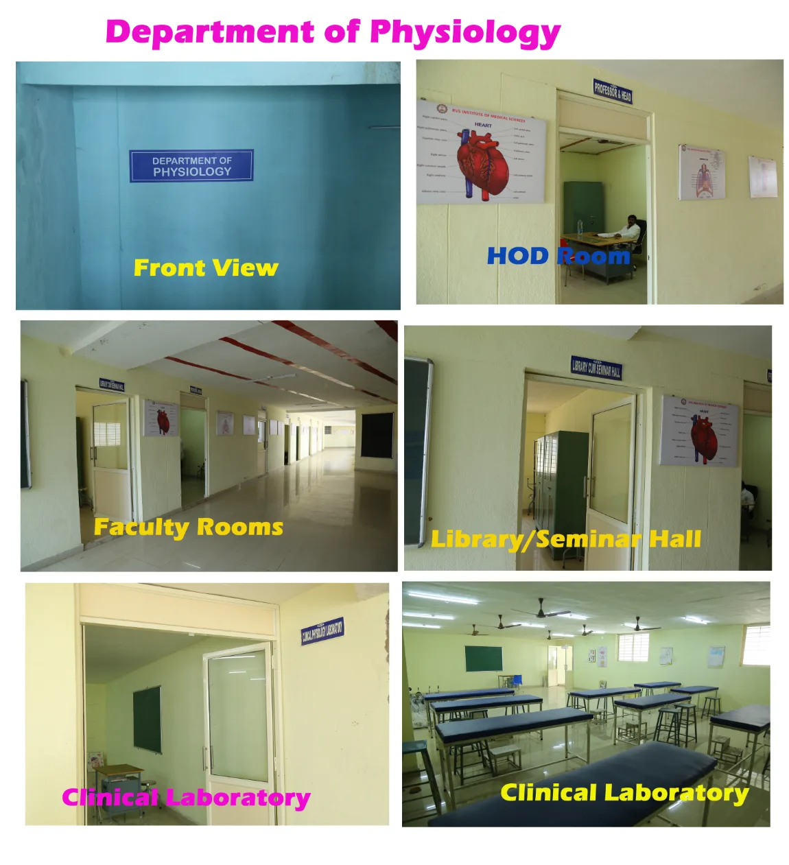 RVS Institute of Medical Sciences — Physiology Lab