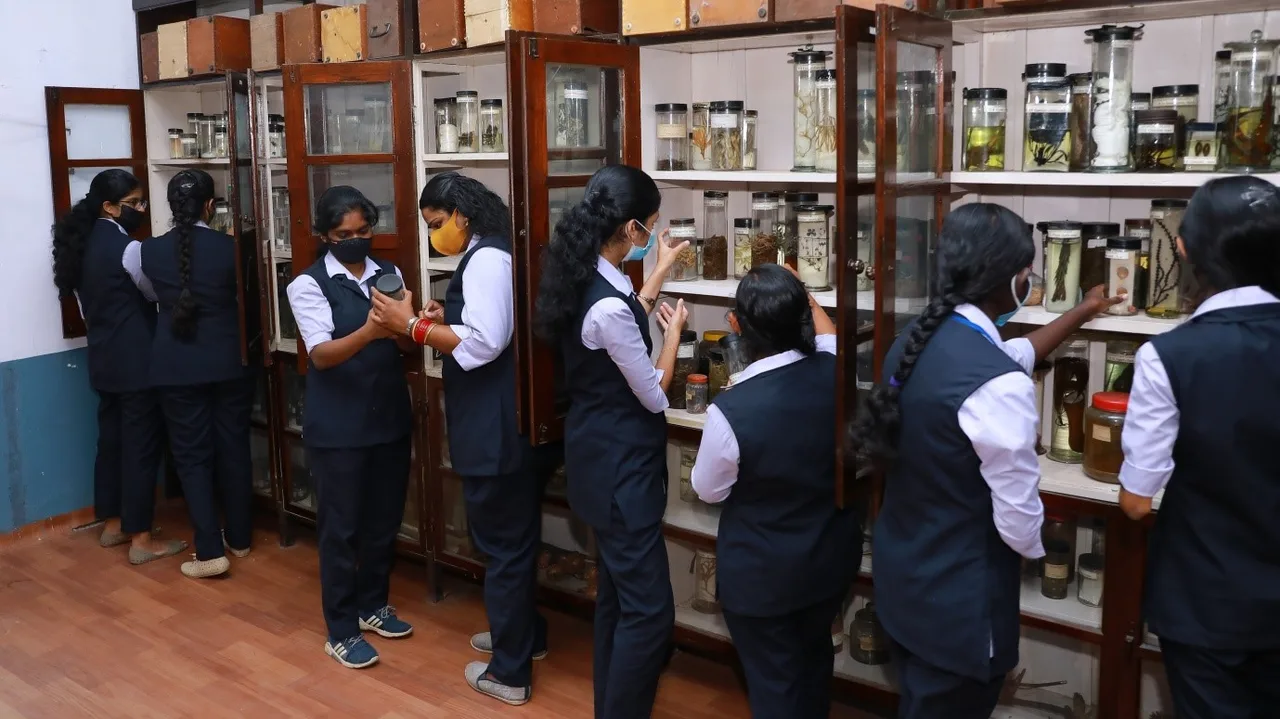 campus 6
