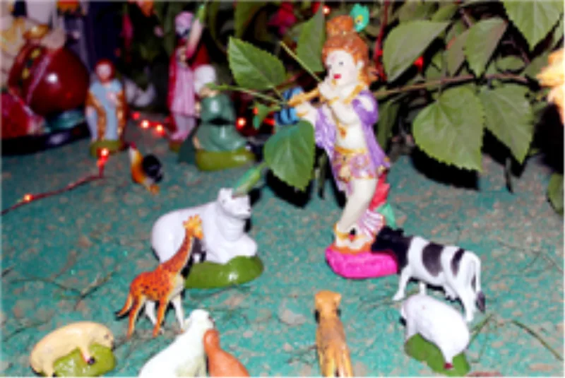 Janmashtami Celebration2 — Rama University