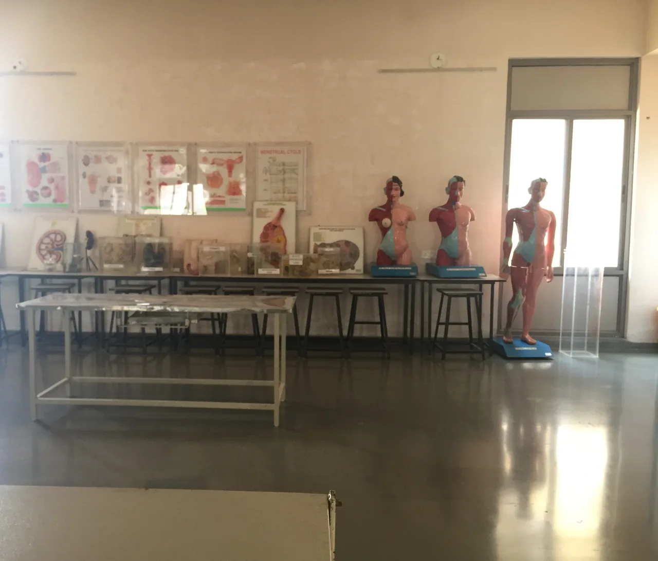 campus 5